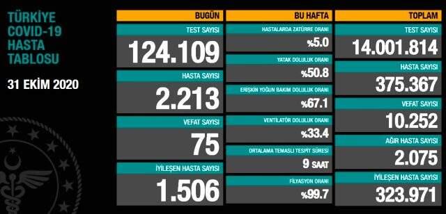 Son Dakika: Türkiye'de 31 Ekim günü koronavirüs nedeniyle 75 kişi vefat etti, 2213 yeni vaka tespit edildi