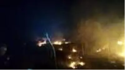 Bodrum'da 12 dönüm makilik alan yangında zarar gördü Bodrum'da 12 dönüm makilik alan yangında zarar gördü