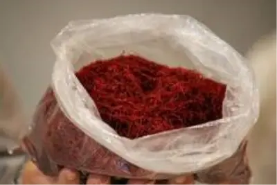Yarım kilosu 25 bin liralık bir altın bileziğe denk olan 'safran', çelik kasalarda saklanıyor Yarım kilosu 25 bin liralık bir altın bileziğe denk olan 'safran', çelik kasalarda saklanıyor