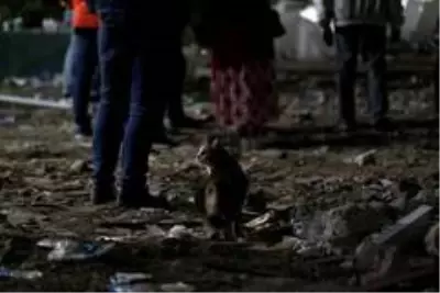 Son dakika haberi... Kurtarma çalışmalarında 33. saate girildi, ekiplerin zamanla yarışı sürüyor