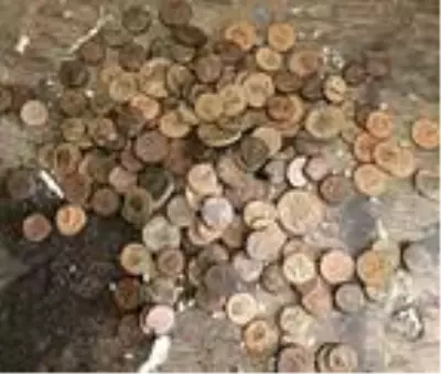Suriye'den gelen araçta 1380 tarihi eser ele geçti Suriye'den gelen araçta 1380 tarihi eser ele geçti