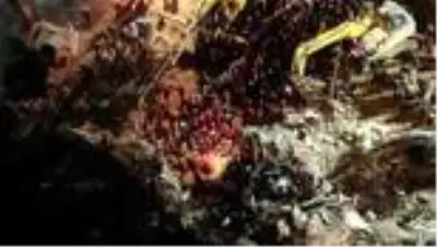 14 yaşındaki İdil, 58 saat sonra enkazdan böyle sağ çıkarıldı