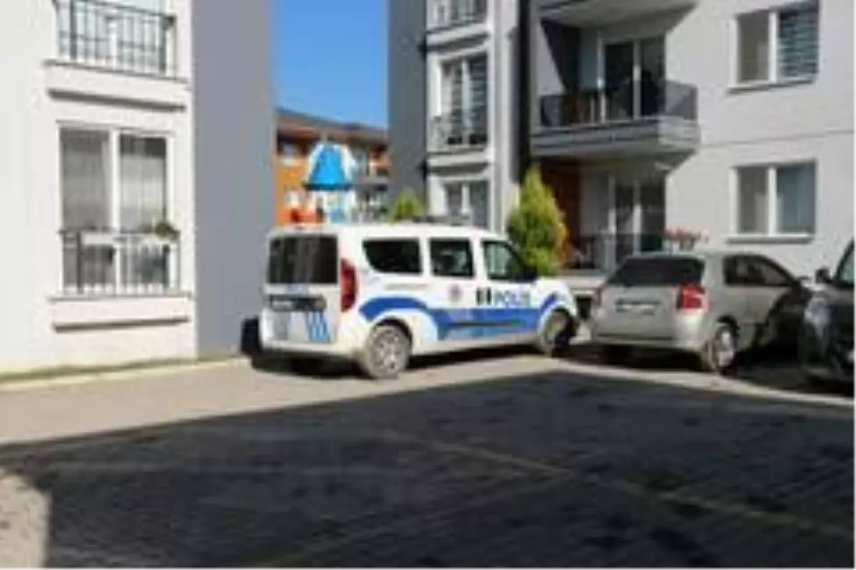 Aidat kavgasında kan aktı: 1 yaralı