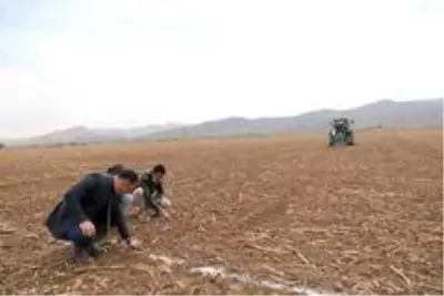 Ar-Ge için ilk tohum atıldı