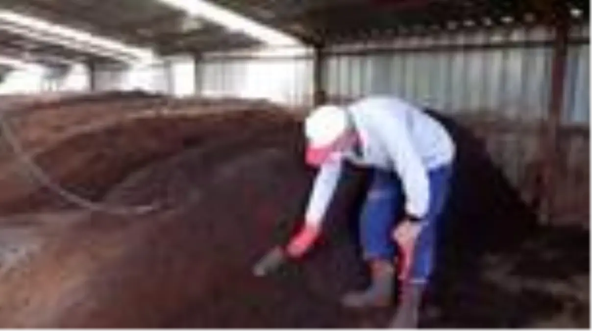 Emekli astsubay memleketine dönüp solucan gübresi üreticisi oldu