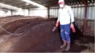 Emekli astsubay memleketine dönüp solucan gübresi üreticisi oldu Emekli astsubay memleketine dönüp solucan gübresi üreticisi oldu