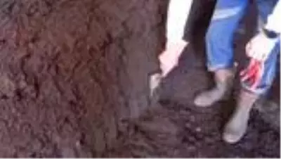 Emekli astsubay memleketine dönüp solucan gübresi üreticisi oldu Emekli astsubay memleketine dönüp solucan gübresi üreticisi oldu
