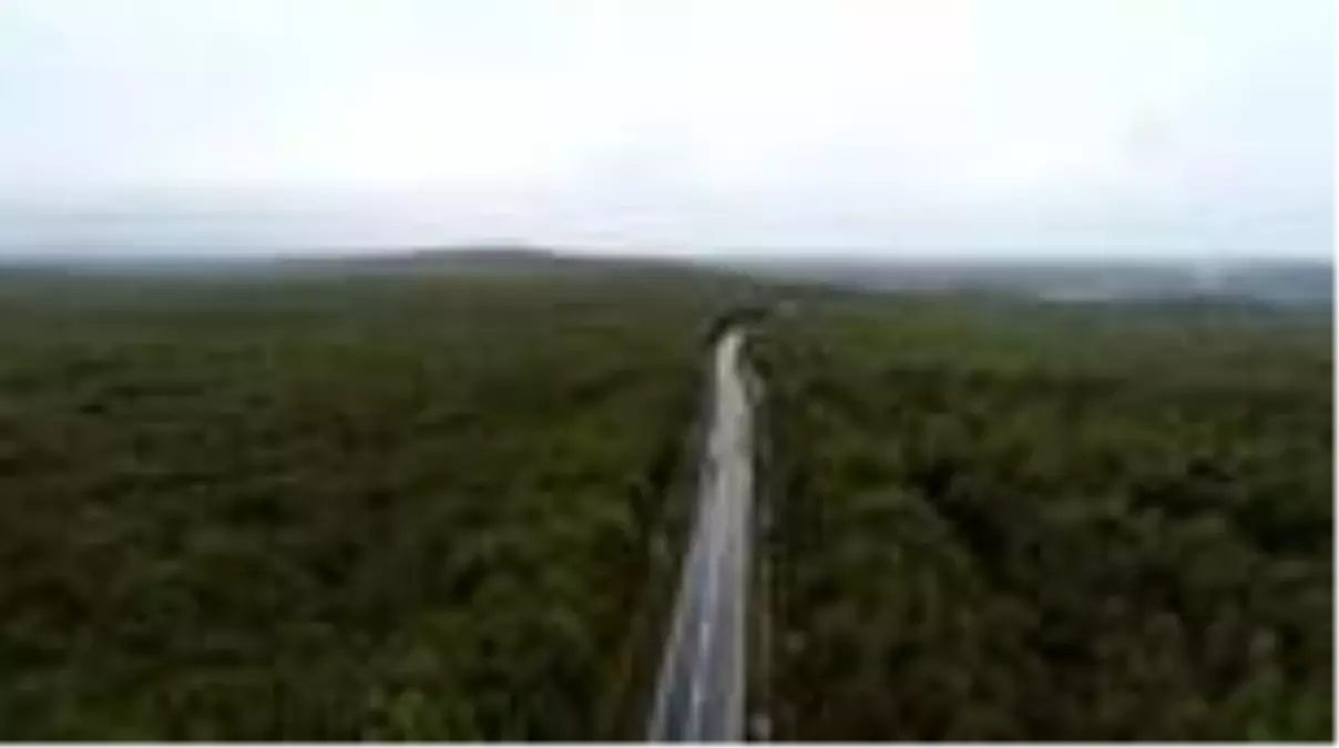 Kırklareli ormanları sonbahar güzelliğiyle ziyaretçilerini hayran bırakıyor