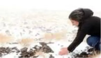 Palandöken'e mevsimin ilk karı düştü Palandöken'e mevsimin ilk karı düştü