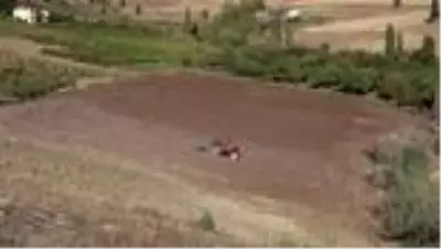 Şalvar giyen belediye başkanı karakılçık buğdayı ekti Şalvar giyen belediye başkanı karakılçık buğdayı ekti