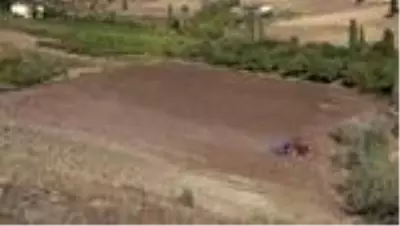 Şalvar giyen belediye başkanı karakılçık buğdayı ekti Şalvar giyen belediye başkanı karakılçık buğdayı ekti