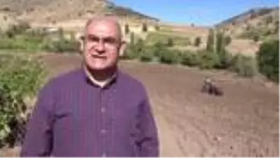 Şalvar giyen belediye başkanı karakılçık buğdayı ekti Şalvar giyen belediye başkanı karakılçık buğdayı ekti
