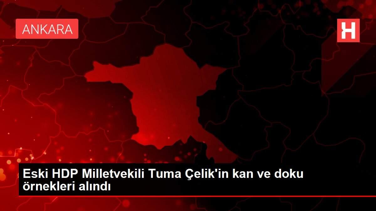 Eski HDP Milletvekili Tuma Çelik'in kan ve doku örnekleri alındı
