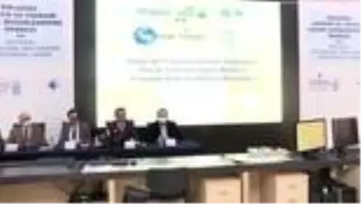 Kandilli Rasathanesi İzmir'deki tsunami bilgilerini paylaştı (3) Kandilli Rasathanesi İzmir'deki tsunami bilgilerini paylaştı (3)