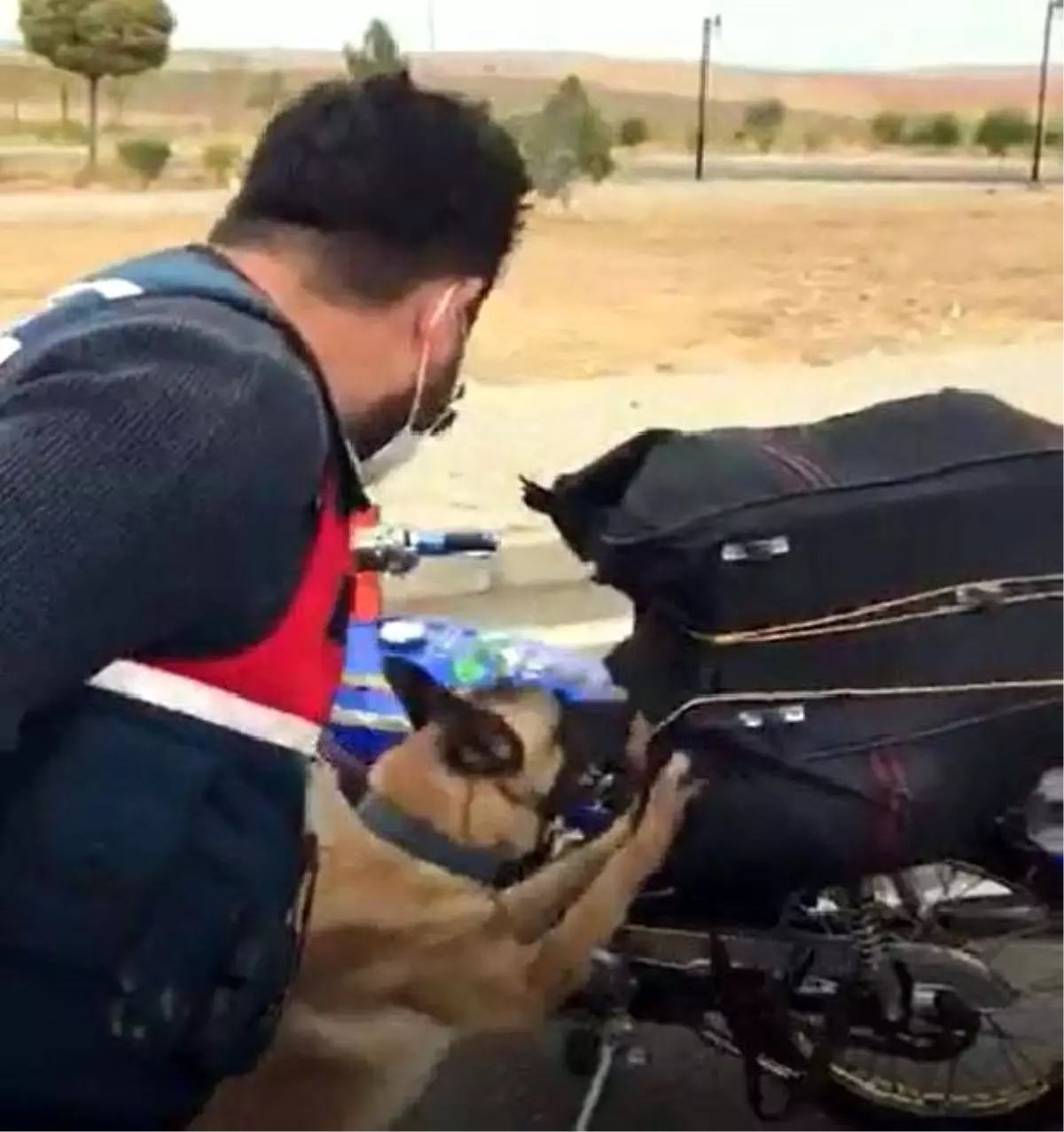 Son dakika haberleri Narkotik köpek �Tamir�in de yer aldığı