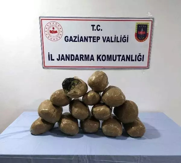 Son dakika haberleri Narkotik köpek �Tamir�in de yer aldığı