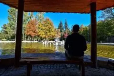 Başkent'te sonbahar