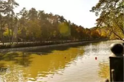Başkent'te sonbahar