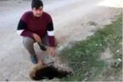 Afyonkarahisar'da zemindeki kayma ve evlerdeki çatlaklar mahalleliyi tedirgin etti