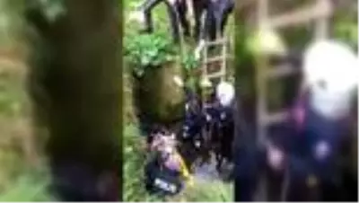 Dereye düşen kişiyi itfaiye ekibi kurtardı Dereye düşen kişiyi itfaiye ekibi kurtardı