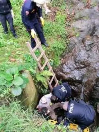 Son dakika haber! Dereye düşen vatandaşı itfaiye ekipleri kurtardı Son dakika haber! Dereye düşen vatandaşı itfaiye ekipleri kurtardı