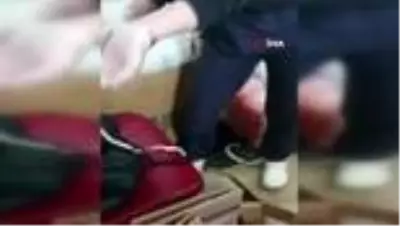 Hastanenin kadın doğum bölümüne giren hamile kedinin veterinerlikte 3 yavrusu oldu Hastanenin kadın doğum bölümüne giren hamile kedinin veterinerlikte 3 yavrusu oldu