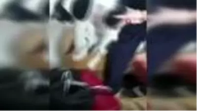Hastanenin kadın doğum bölümüne giren hamile kedinin veterinerlikte 3 yavrusu oldu Hastanenin kadın doğum bölümüne giren hamile kedinin veterinerlikte 3 yavrusu oldu