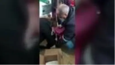 Hastaneye giren hamile kedi götürüldüğü hayvan hastanesinde yavruladı Hastaneye giren hamile kedi götürüldüğü hayvan hastanesinde yavruladı