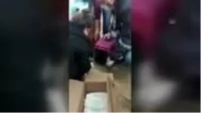 Hastaneye giren hamile kedi götürüldüğü hayvan hastanesinde yavruladı Hastaneye giren hamile kedi götürüldüğü hayvan hastanesinde yavruladı