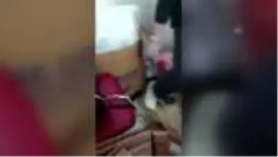 Hastaneye giren hamile kedi götürüldüğü hayvan hastanesinde yavruladı Hastaneye giren hamile kedi götürüldüğü hayvan hastanesinde yavruladı