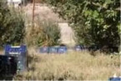 İran sınırındaki Esendere'de elma hasadına başlandı