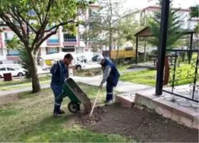 Keçiören'in parkları kış çiçekleri ile donatıldı Keçiören'in parkları kış çiçekleri ile donatıldı