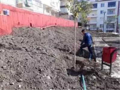 Keçiören'in parkları kış çiçekleri ile donatıldı Keçiören'in parkları kış çiçekleri ile donatıldı