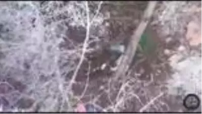 Ormanlık alanda Hint keneviri yetiştirdiği iddia edilen kişi tutuklandı Ormanlık alanda Hint keneviri yetiştirdiği iddia edilen kişi tutuklandı