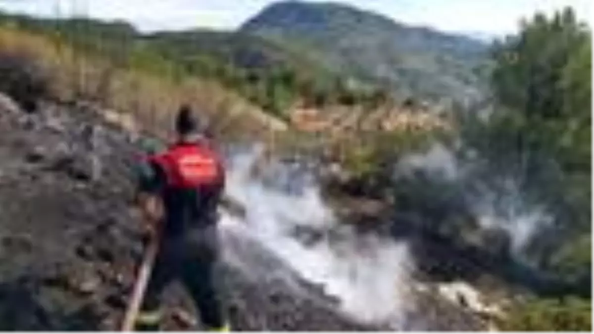 Datça'da yangında 10 dönüm kızılçam ormanı zarar gördü