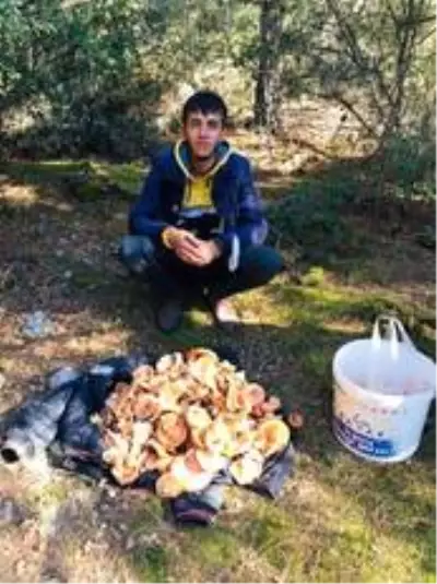 Denizli'de vatandaşlar mantar toplamaya başladı Denizli'de vatandaşlar mantar toplamaya başladı
