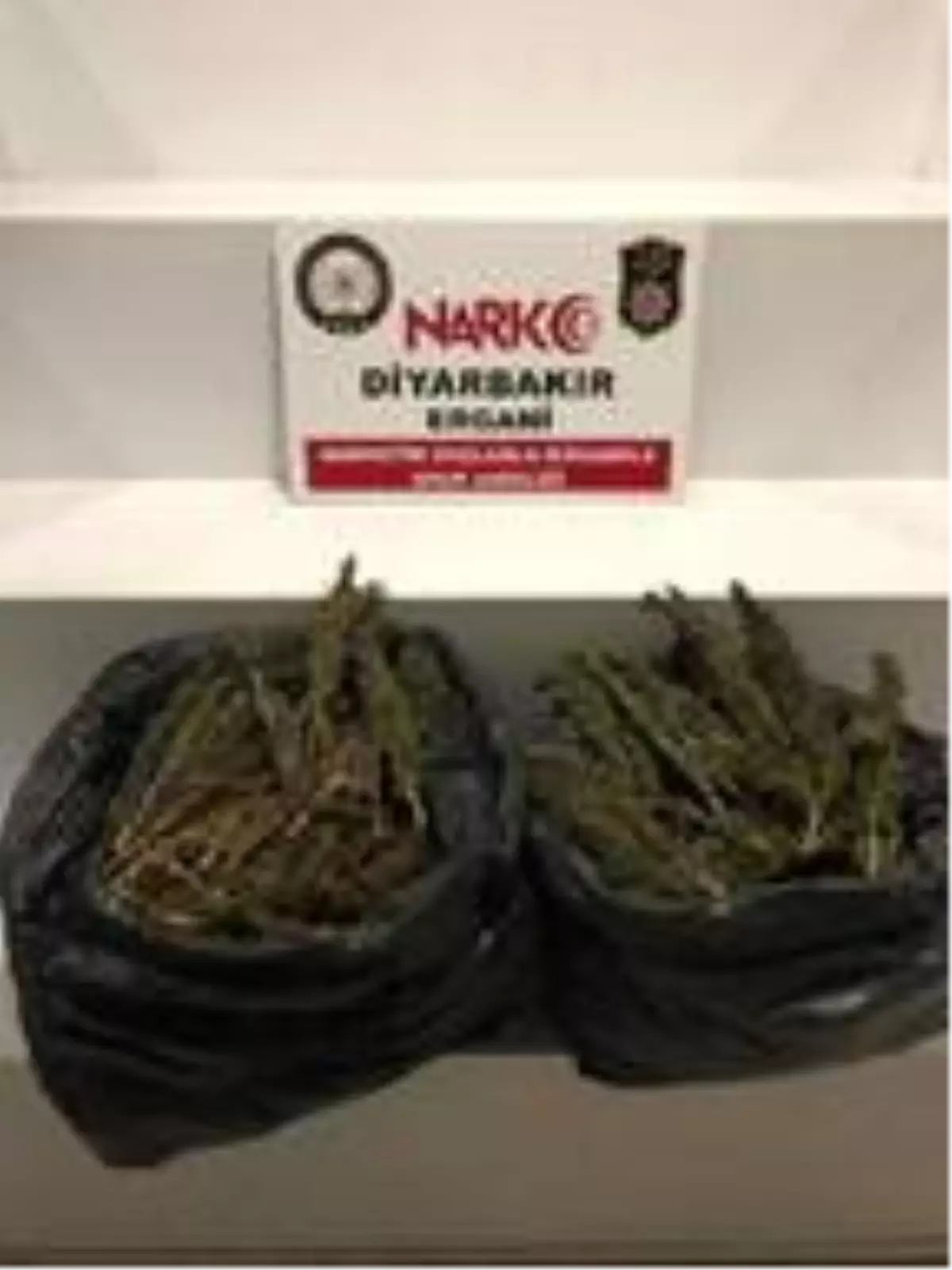 Ergani'deki uyuşturucu operasyonuna 2 tutuklama