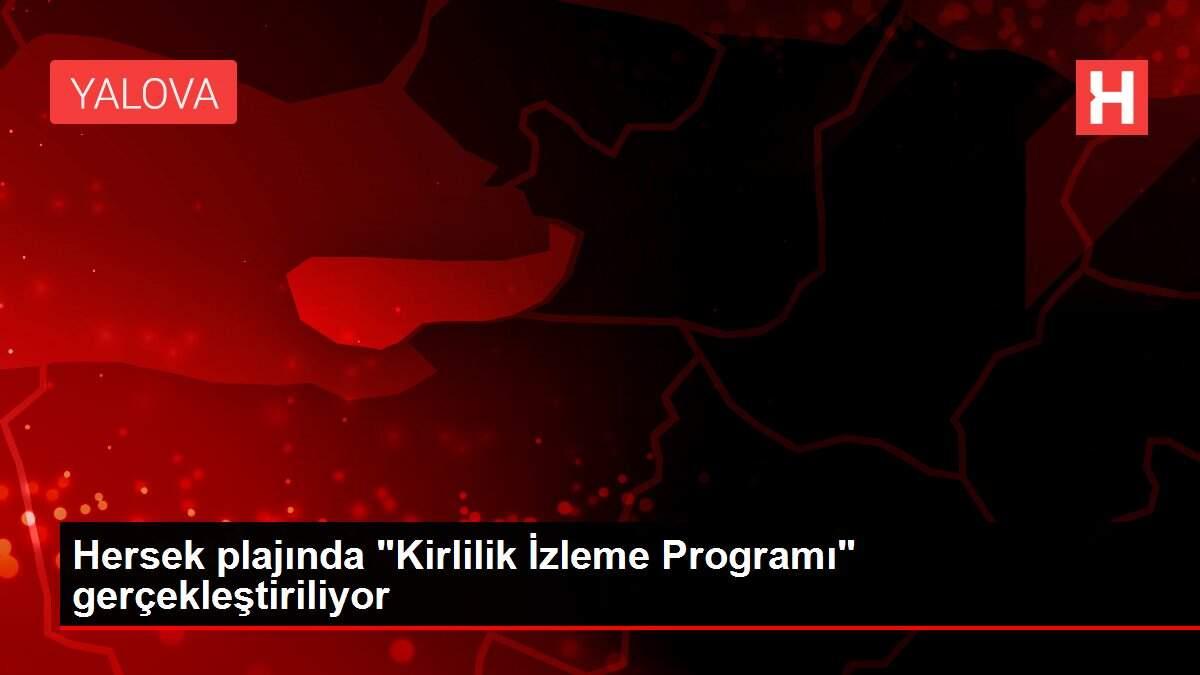 Hersek plajında 'Kirlilik İzleme Programı' gerçekleştiriliyor Hersek plajında 'Kirlilik İzleme Programı' gerçekleştiriliyor