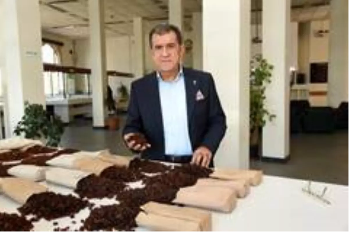 Kuru meyvede işletmeleri, üretimde yalın tekniklere odaklanacak