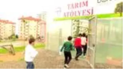 Öğrenciler okulda sebze ekip hasat ederek tarımı öğreniyor Öğrenciler okulda sebze ekip hasat ederek tarımı öğreniyor
