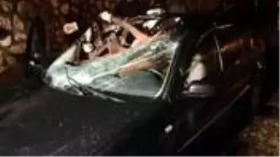 Otomobilin çarptığı at aracın içine girdi! Talihsiz hayvan telef olurken kazada 1 kişi yaralandı Otomobilin çarptığı at aracın içine girdi! Talihsiz hayvan telef olurken kazada 1 kişi yaralandı