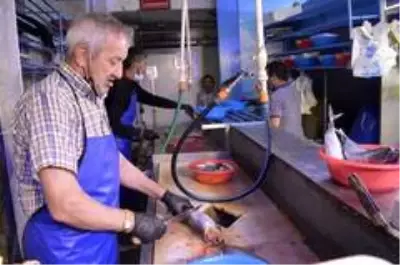 Pandemi dönemi siparişle balık satın alma talebini arttırdı Pandemi dönemi siparişle balık satın alma talebini arttırdı