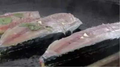 Pandemi dönemi siparişle balık satın alma talebini arttırdı Pandemi dönemi siparişle balık satın alma talebini arttırdı