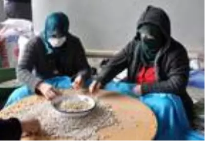 Pandemi ünlü şeker fasulyesini de vurdu Pandemi ünlü şeker fasulyesini de vurdu