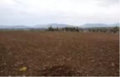 Pandemi ünlü şeker fasulyesini de vurdu Pandemi ünlü şeker fasulyesini de vurdu