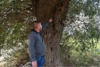 Balıkesir'de yıldırım isabet etmesi sonucu yaralanan kadın taburcu edildi Balıkesir'de yıldırım isabet etmesi sonucu yaralanan kadın taburcu edildi