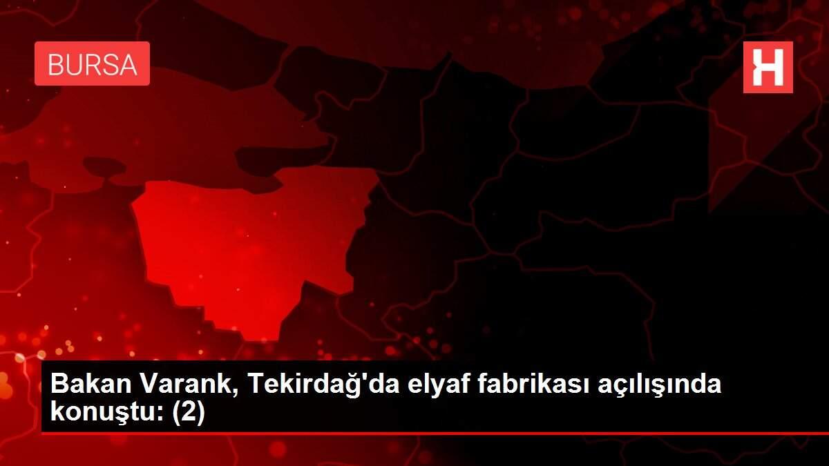 Bakan Varank, Tekirdağ'da elyaf fabrikası açılışında konuştu: (2)