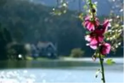 Bolu'nun doğa harikalarına girişlerde randevulu sisteme geçiş çalışmaları sürüyor