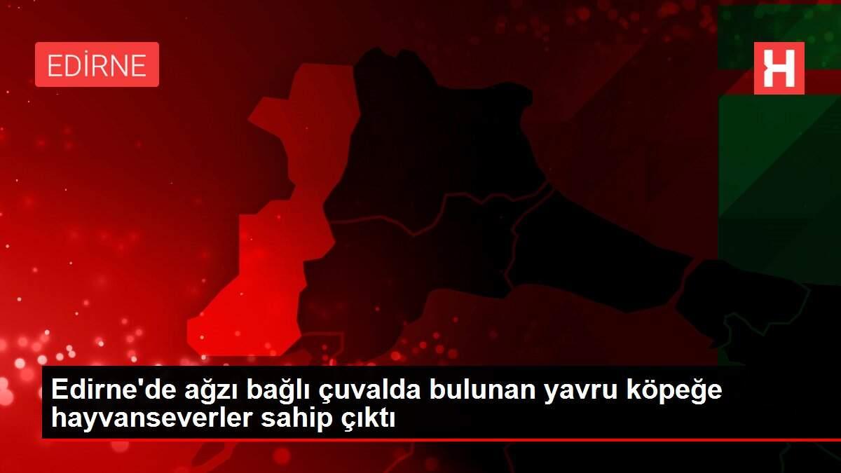 Edirne'de ağzı bağlı çuvalda bulunan yavru köpeğe hayvanseverler sahip çıktı Edirne'de ağzı bağlı çuvalda bulunan yavru köpeğe hayvanseverler sahip çıktı