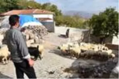 Engelli Demir, hibe desteğiyle kurduğu çiftlikle hayata tutundu Engelli Demir, hibe desteğiyle kurduğu çiftlikle hayata tutundu